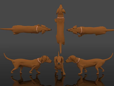 Brown Reptile Lizard Models Showcasing Multiple Angles With Collar On Black Background 3d model