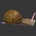 Reptile Snail with Red Brown Spiral Shell and Yellow Textured Body on Grey Reflective Surface