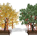Two Ornamental Arbor Trees With Yellow Green Leaves Red Ribbons Wooden Base And Rope Fence