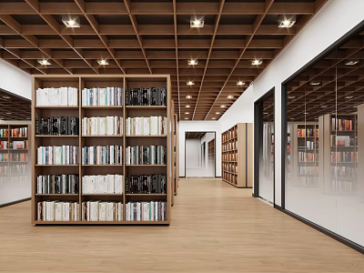 Library Interior With Wooden Ceiling And Bookcases 3d model