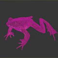 Brown And Orange Reptile With Large Eyes And Outstretched Limbs On Gray Background