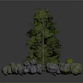 Natural Landscape Scene Components With Various Green Trees Dry Trunks And Decorative Rocks