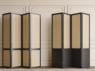 Modern Three Panel Rattan Room Divider with Black Frame for Home Decor 3d model