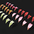 Colorful Flower Petals in Various Shades Arranged Neatly on Black Background