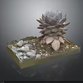 Decorative Succulent Plant in Square Container with Small Stones and Gravel