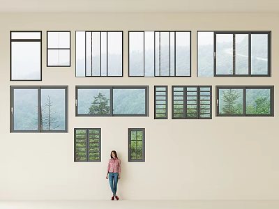 Various Types of Glass Windows Arranged on Wall with Person Standing 3d model