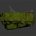Natural Green Moss Covered Rock Surface With Cluster Of Gray Fungi