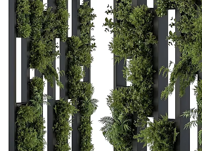 Lush Green Living Wall With Vertical Plants On Black Frames 3d model