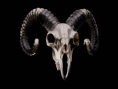 Artistic Handcrafted Animal Skull Sculpture With Intricate Curved Horns And Detailed Features 3d model