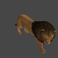 Realistic 3D Lion Model In Standing Pose With Detailed Mane And Features 3d model