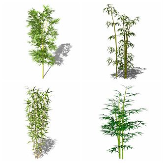 Modern bamboo flowers and plants 3d model