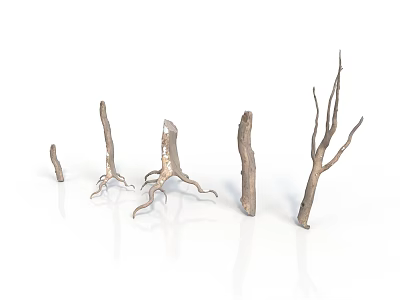 Decorative Natural Dried Plant Branches With Various Shapes And Sizes On White Background 3d model