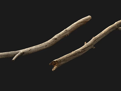 Natural Wood Branches With Rough Texture And Unprocessed Appearance Design 3d model