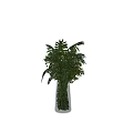 Tall Clear Glass Vase with Lush Green Foliage and Fresh Plant