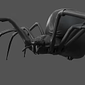 Detailed 3D Model Of A Black Spider On White Background