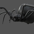 Black Widow Black Spider Big Spider Long Claw Spider Female Spider Spider Rear Eight Eyes Giant Spider Giant Spider Poisonous Spider Hair Spider Poisonous Spider Cartoon Spider 3d model