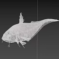 Silver Aquatic Fish With Streamlined Body Prominent Fins And Large Eyes