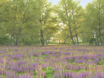 Scenic Purple Flower Field With Green Trees And Sunlight Natural View 3d model