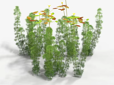 Diverse Green Shrubs With Tall Stems and Colorful Yellow Red Leaves 3d model