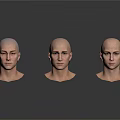 Male Head Models With Bald Heads And Various Facial Features