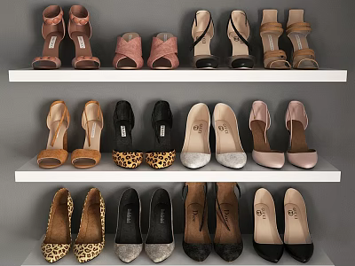 Stylish Different Shoes Displayed on Multiple Shelves Featuring Various Heels Colors and Designs 3d model