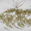 3D Rendered Various Plants Featuring Grass Shrubs Slender Branches And Clustered Leaves In Natural Landscape