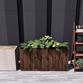 Potted Green Plants with Yellow Flowers in Wooden Planter Box and Multi Tiered Shelf
