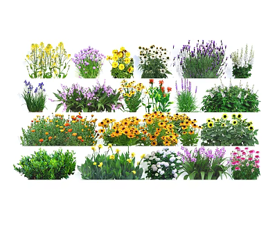 Colorful Garden Flowers And Plants With Various Species And Vibrant Blooms 3d model