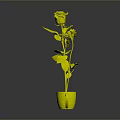 Red Rose and Small White Flower Arranged in Colorful Decorative Cup