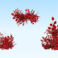 Red Floral Decor Arrangements With Blue Background And Various Styles