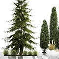 modern horticultural sketch shrub landscape design urban environment 3d model