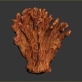 Coral Red Coral White Coral Blue Coral Gold Coral Black Coral Ball Coral Grass Coral Fine Finger Anemone 3d model