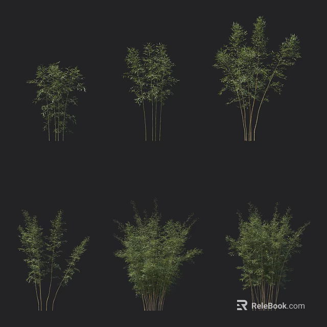 Different Types Of Bamboo Plants With Various Growth Patterns And Green Leaves 3d model 