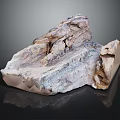 Natural Wood and Stone Decorative Piece with Irregular Shape and Color Variations