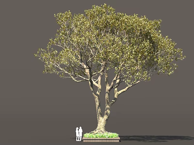 Tall Arbor With Lush Foliage Thick Trunk And Two People Standing Near Green Plants 3d model