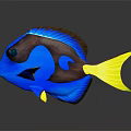 Vibrant Blue And Brown Fish With Yellow Tail And Reflective Surface