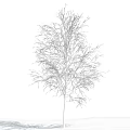 Leafless Birch Tree Standing Against Clear Blue Sky With White Clouds 3d model