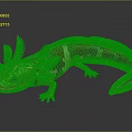 Golden Pink And Black Axolotl With Metallic Sheen And Blue Eyes On Dark Background