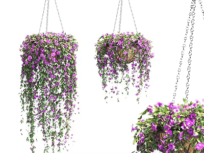 Hanging Purple Flower Baskets Decorative Plant Arrangement With Cascading Vines 3d model