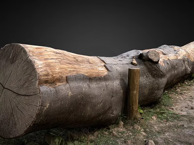 Natural Wooden Public Chair Made From Tree Trunk In Grassy Outdoor Area 3d model
