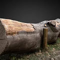 Natural Wooden Public Chair Made From Tree Trunk In Grassy Outdoor Area