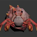 Pink Hermit Crab With Spiky Shell And Red Claws On Dark Background