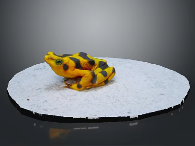 Yellow and black spotted frog sitting on white circular platform with gray background 3d model