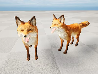 Two Red Foxes Standing On Checkered Ground With Open Sky Background 3d model