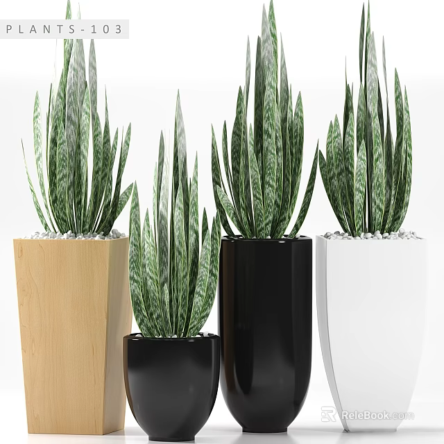 Stylish Garden Decor with Green Leafy Plants in Wooden Black and White Planters 3d model 