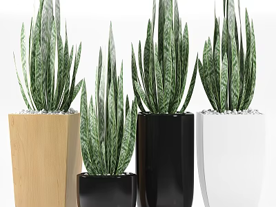 Stylish Garden Decor with Green Leafy Plants in Wooden Black and White Planters 3d model