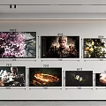 Multiple Wall Mounted TVs in Different Sizes Displaying Various Scenes Like Flowers And Characters 3d model