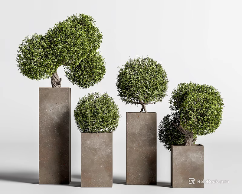 Bonsai Potted Plants In Square Pots With Various Heights And Trimmed Greenery 3d model 