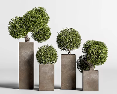 Bonsai Potted Plants In Square Pots With Various Heights And Trimmed Greenery 3d model