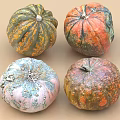 Four Vibrant Multicolored Pumpkins With Green Orange Pink Textured Skin